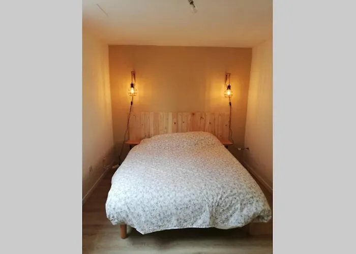 Avec Jardin à Appartement Rodez